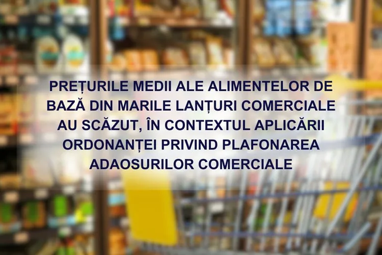 Consiliul Concurenței susține că preţurile alimentelor au scăzut cu 34% Foto: Consiliul Concurenței