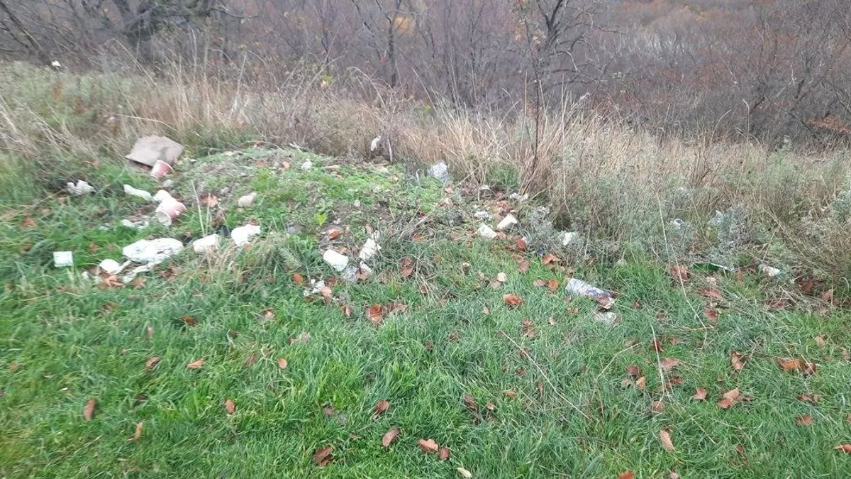 Cetatea de la Cotnari, în pericol major (sursa: ziaruldeiasi.ro)