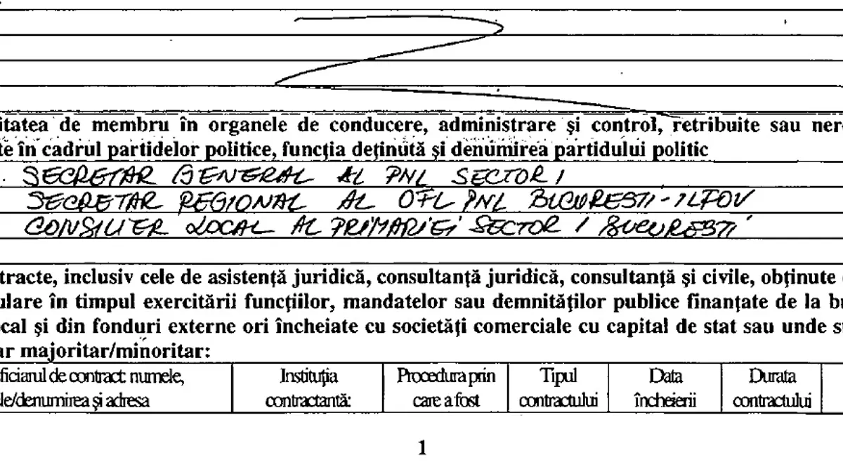 adriana georgescu funcții PNL