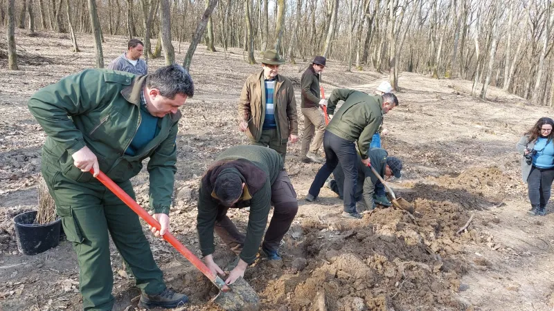 Direcţia Silvică Bihor, două recorduri în 2022 Foto: Facebook 