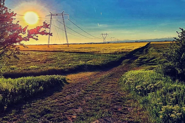 Clienți PSD-PNL, directori la Transelectrica, sub ancheta DNA Foto: Transelectrica