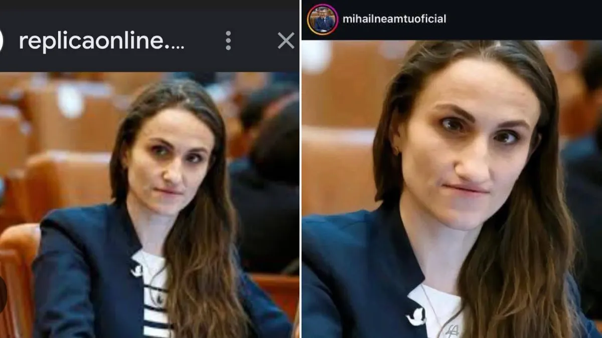 Imaginea Oanei Țoiu, trucată de Mihail Neamțu