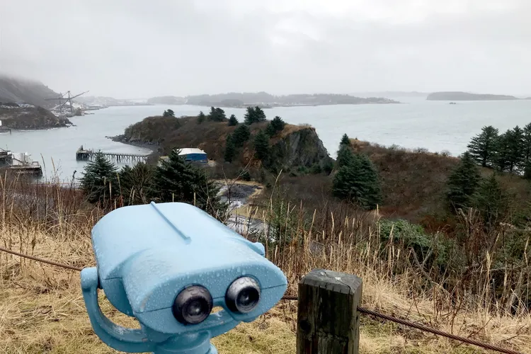 Doi ruși au fugit până în Alaska Foto: Twitter