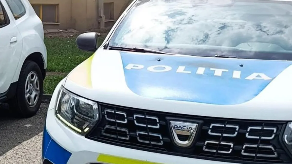 Mamă, soție și fiică, bătute violent (sursa: Facebook/Poliția Română)