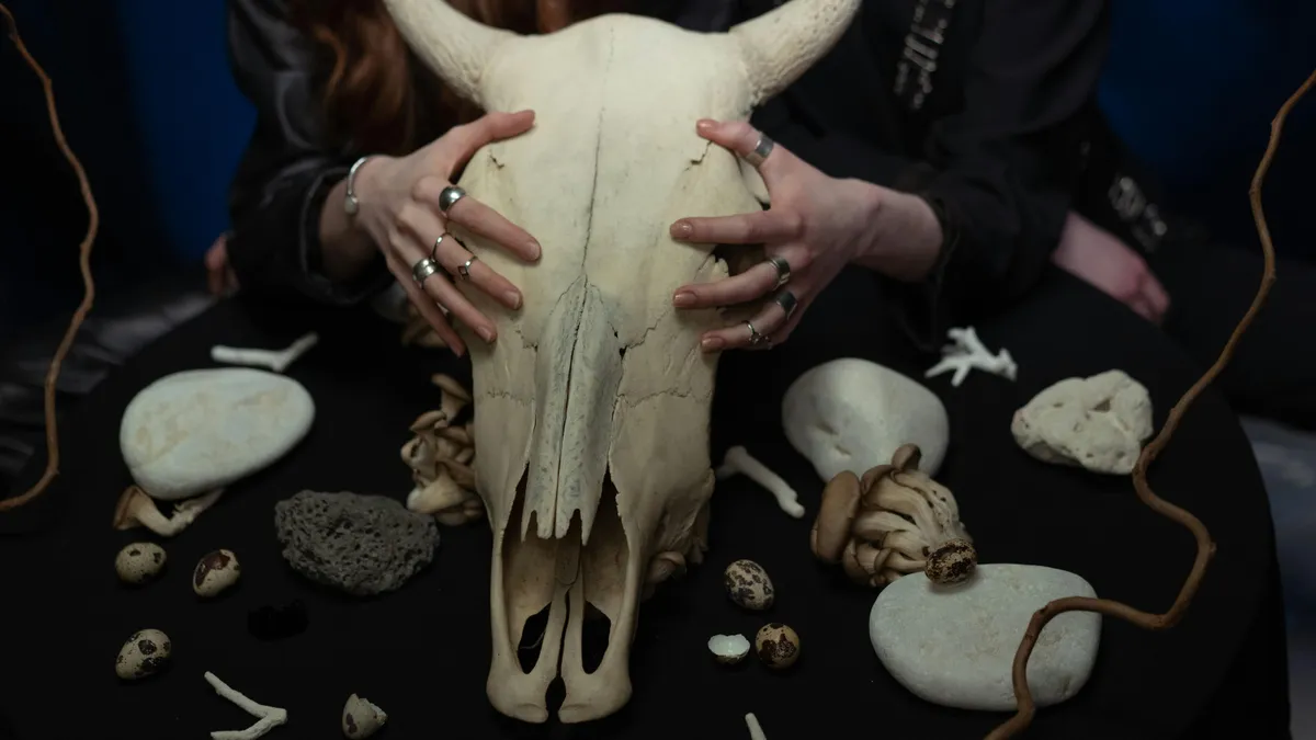 Cazul „Bau”, psihologii explică manipularea (sursa: Pexels/cottonbro studio)