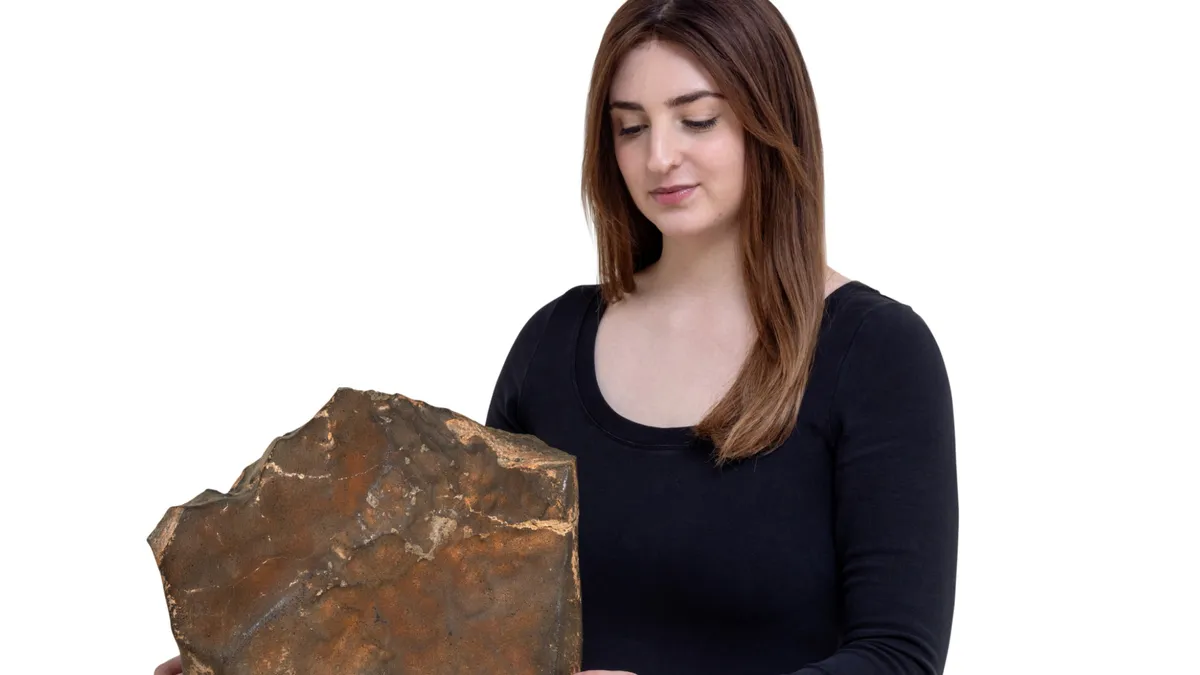 Rocă de pe Marte, la licitație (sursa: sothebys.com)