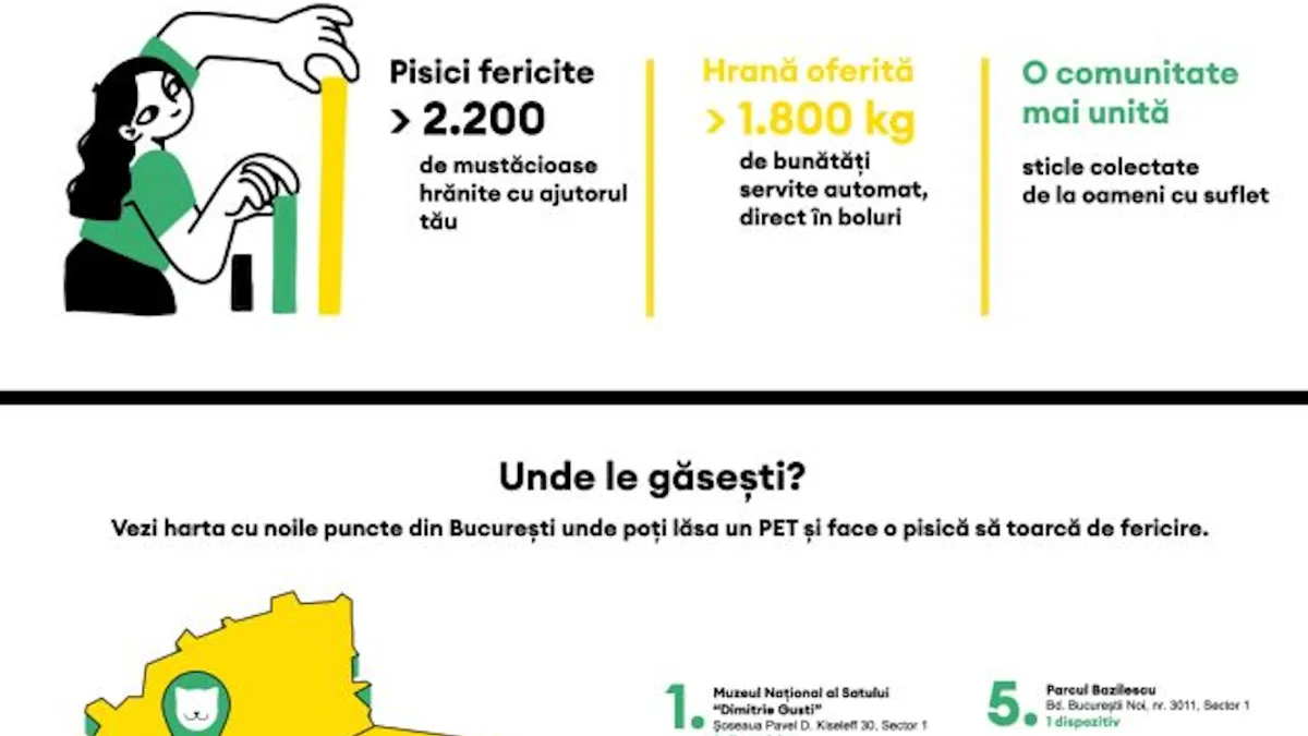Asociația Sache și RetuRO hrănesc pisicile comunitare (sursa: RetuRO)