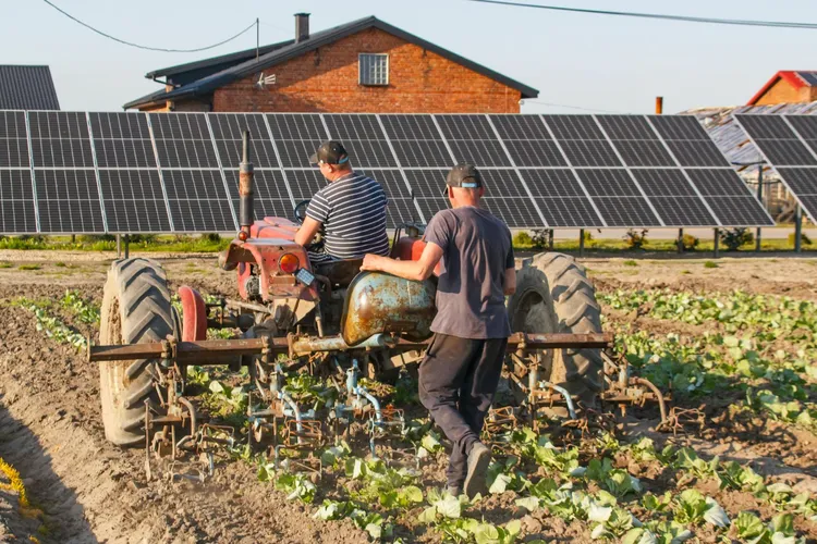 Micii fermieri nu fac față noilor taxe (sursa: Pexels/Aleksander Dumała)