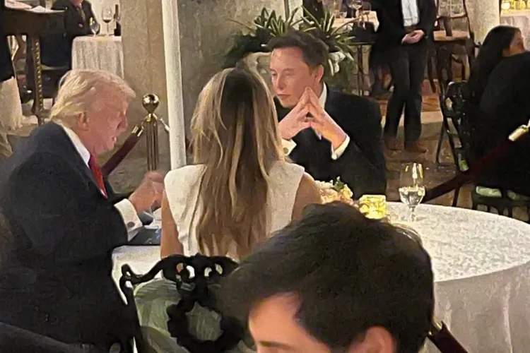 Elon Musk acuză un „atac politic” (sursa: X/Elon Musk)