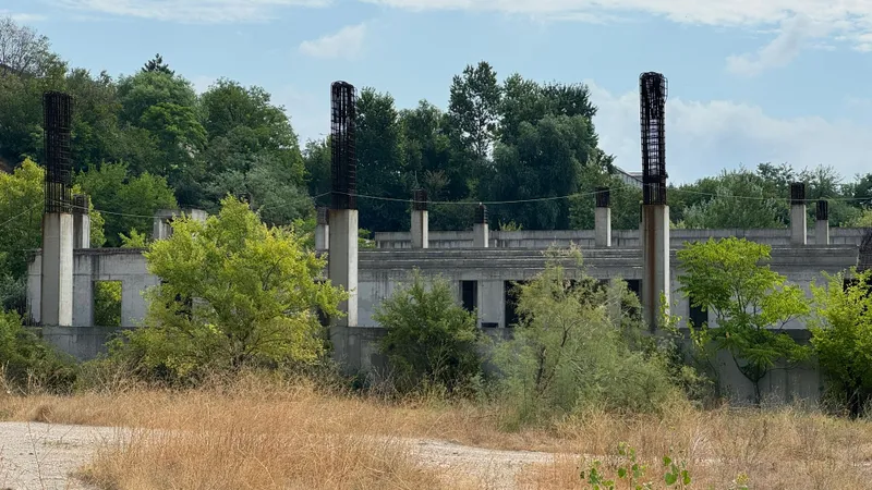 Bazin olimpic - proiectat, construit parțial, abandonat (sursa: defapt.ro)