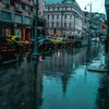 România, piața auto tot mai netransparentă (sursa: Pexels/Alex Pham)