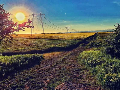 Clienți PSD-PNL, directori la Transelectrica, sub ancheta DNA Foto: Transelectrica