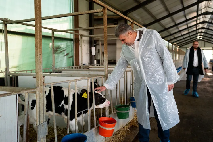 Ciolacu cere DNA-ului să-l ancheteze pe Bolojan Foto: Facebook