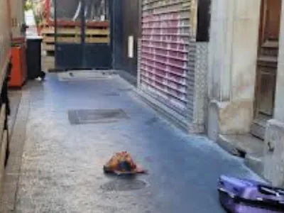 Moschei din Paris profanate, descoperiri șocante (sursa: X/Oumma.com)