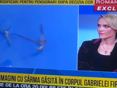 Firea cere ca PNL, USR și PMP să-i retragă sprijinul lui Nicușor Dan Foto: Captură video