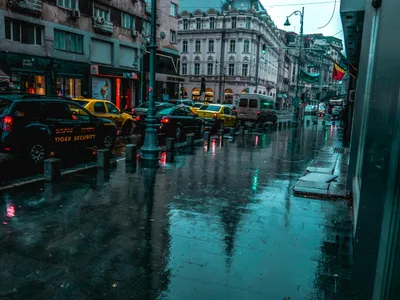 România, piața auto tot mai netransparentă (sursa: Pexels/Alex Pham)