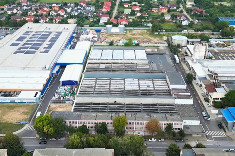 Holmbergs a falimentat o afacere internațională (sursa: ziaruldeiasi.ro)