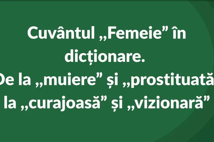 DEX definește „femeie” prin termeni ofensatori (sursa: Facebook/World Vision Romania)