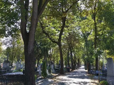 Locuri de veci, preț de garsonieră (sursa: ziaruldeiasi.ro)