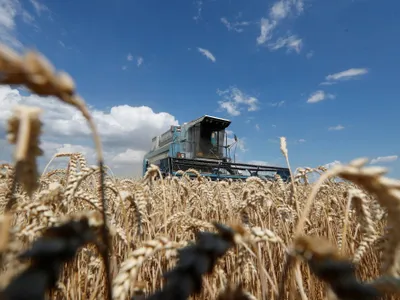 Ucraina: Au fost stabilite două rute prin Polonia și România pentru exportul cerealelor Foto: Twitter