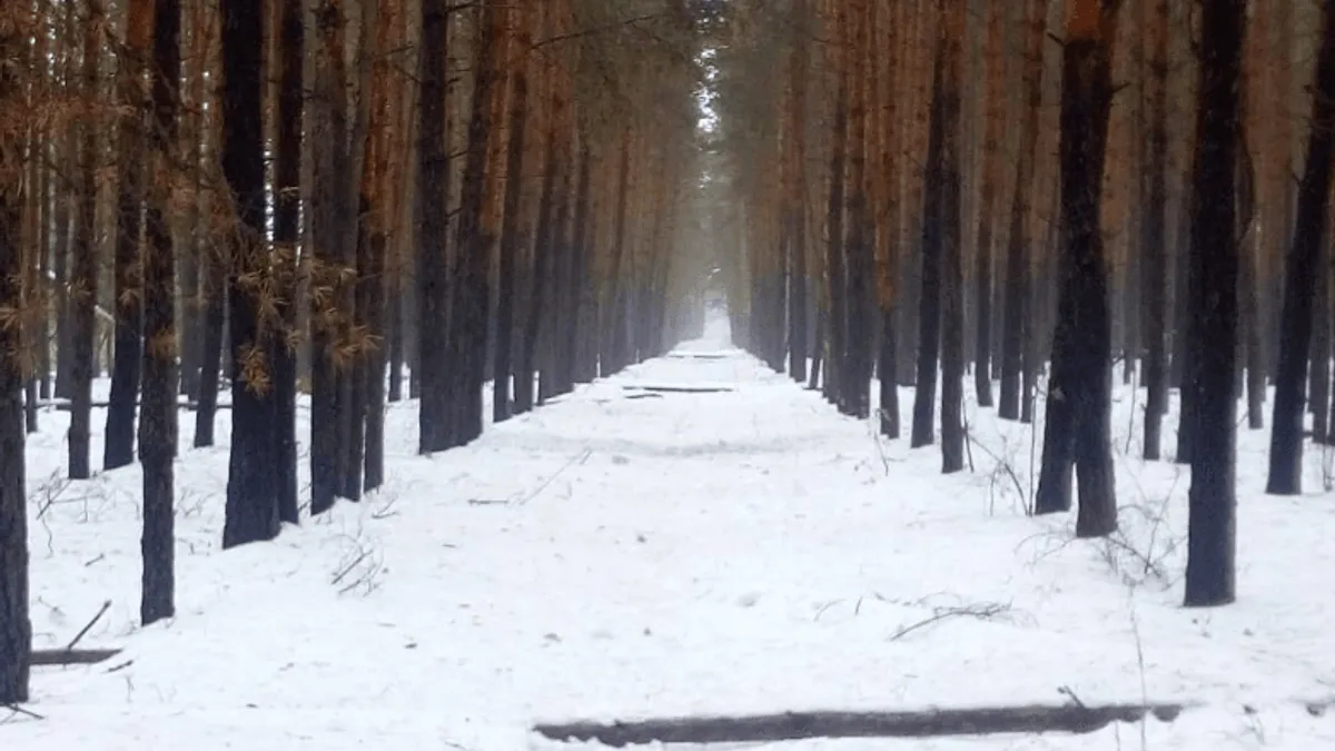 Rușii au bombardat un sat rusesc (sursa: maps.google.com)