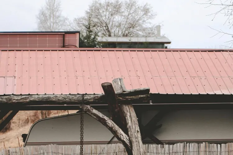 Evacuat din casă după agresarea fiului (sursa: Pexels/Ferencz Istvan)