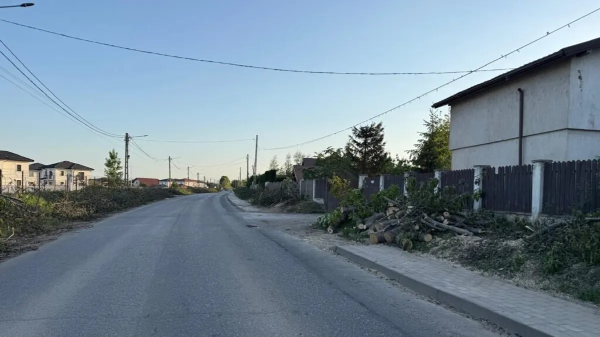 Copaci doborâți pentru pistă de ciclism (sursa: ziaruldeiasi.ro)