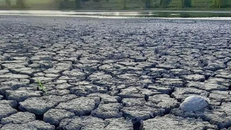 Râuri secate, debit scăzut pe Dunăre (sursa: ziaruldeiasi.ro)