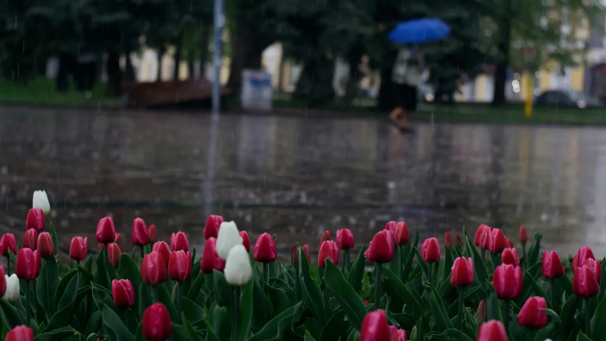 Vreme capricioasă și ploi de Paște (sursa: Pexels/Plato Terentev)