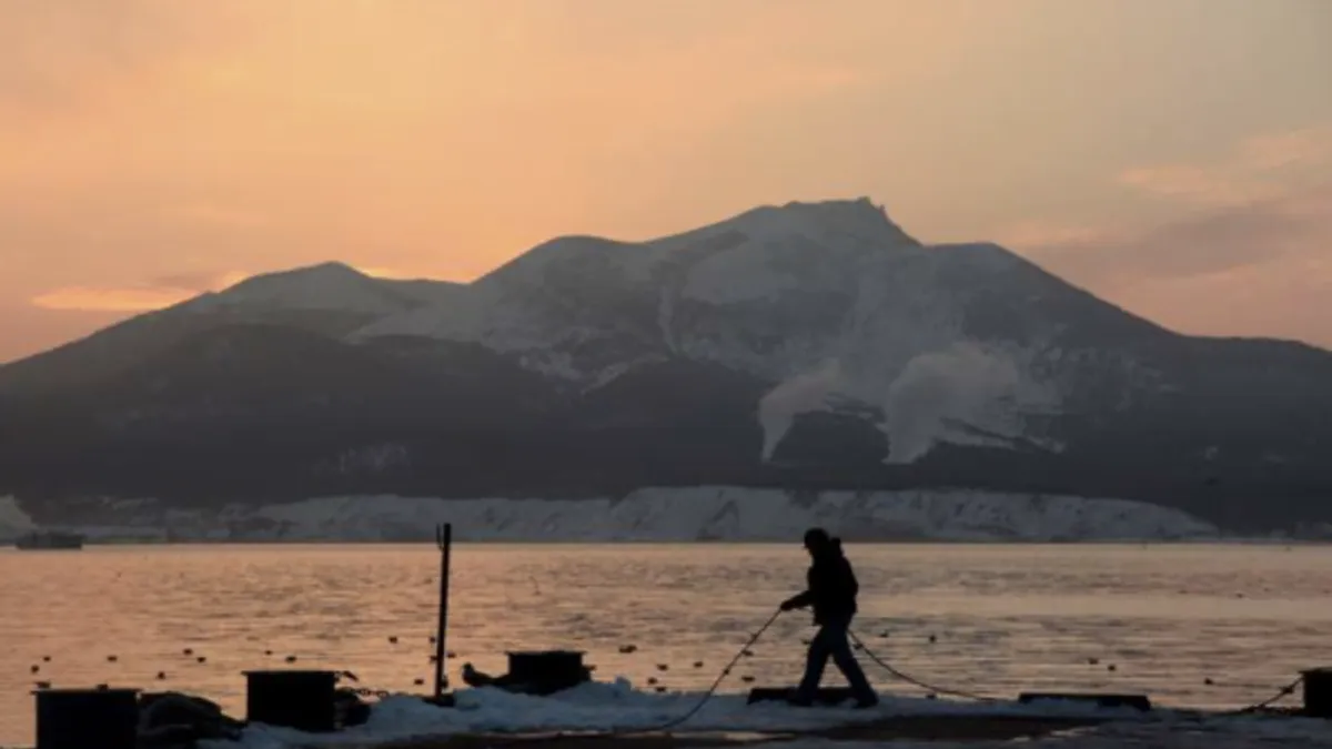 Putin mârâie la Japonia: exerciții-n Kurile (sursa: Agerpres)