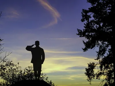 Trimiși drept carne de tun (sursa: Pixabay)