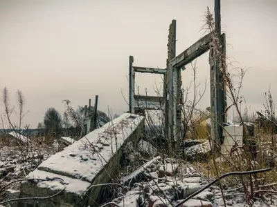 "Iarna nucleară" ar ucide cinci miliarde de oameni (sursa: Shutterstock)