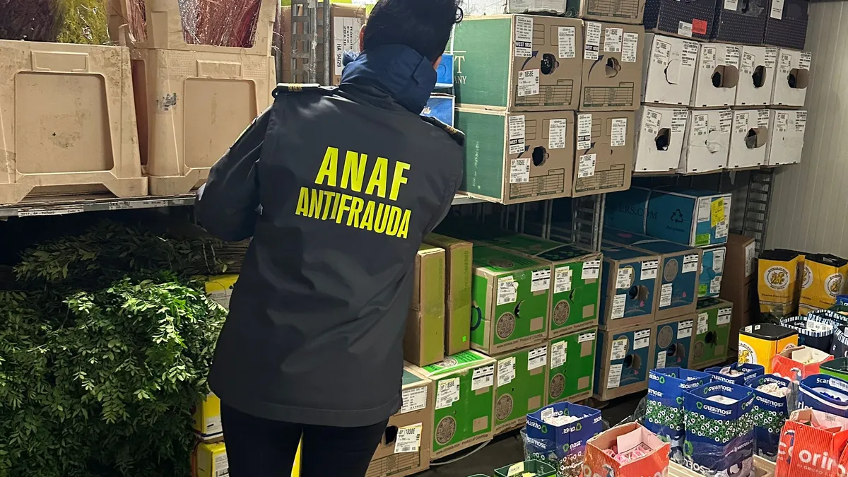 Nu te jupoaie Fiscul, te jupoaie AI-ul Foto: ANAF