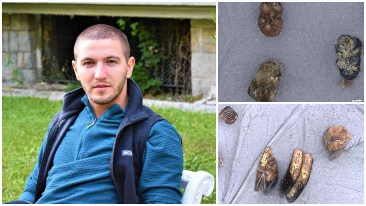 România preistorică, hiene și climat de savană (sursa: ziaruldeiasi.ro)