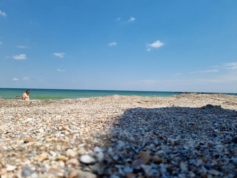 Plaja de la Mamaia este un covor de scoici