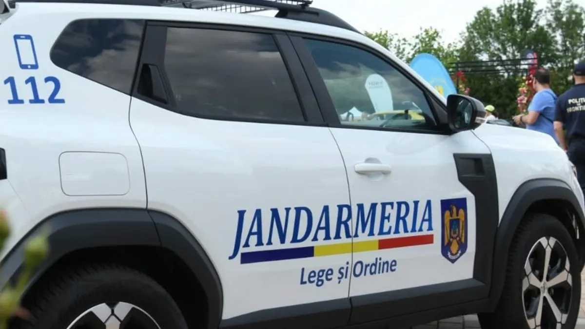 Șofer beat, agresat de un jandarm (sursa: Facebook/Jandarmeria Română)