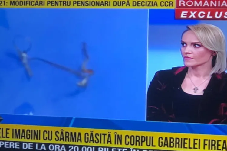 Firea cere ca PNL, USR și PMP să-i retragă sprijinul lui Nicușor Dan Foto: Captură video