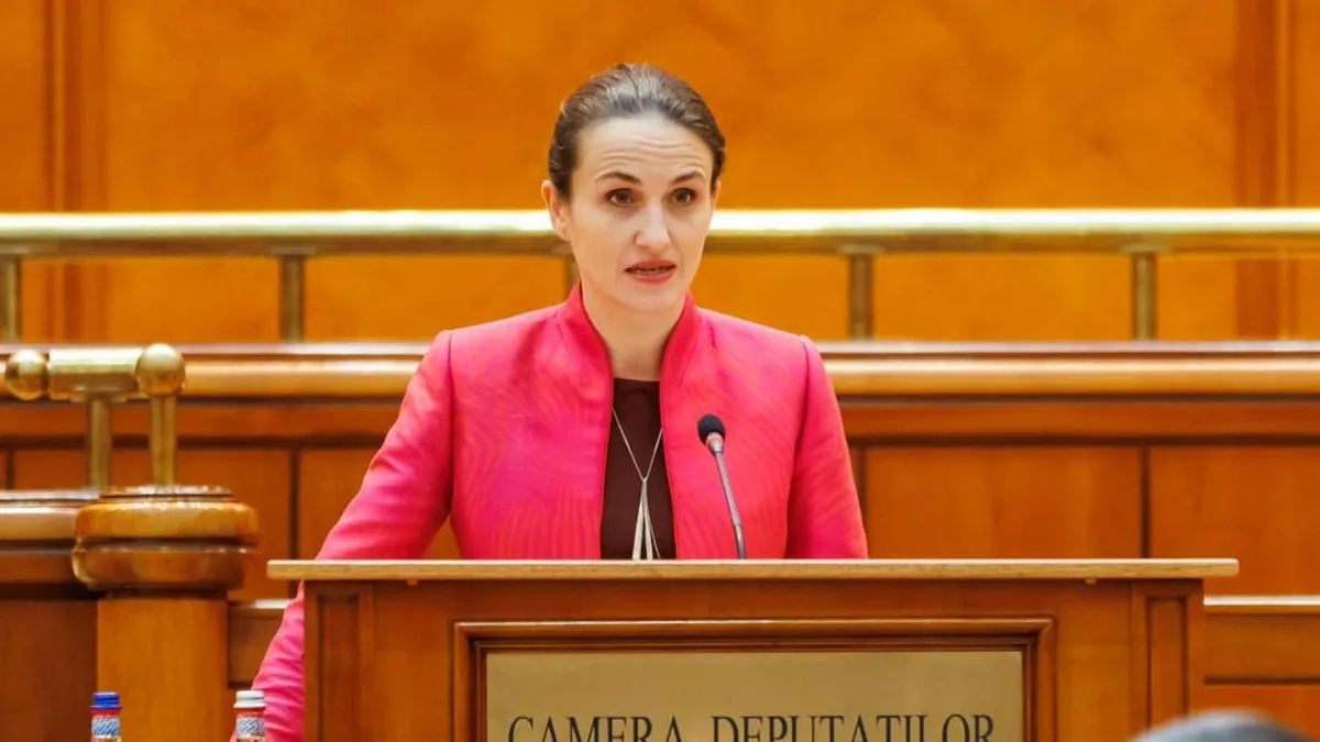 USR susține drepturile alegătorilor din diaspora (sursa: Facebook/Oana Țoiu)