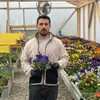 Florile comestibile, afacerera unui antreprenor ieșean (sursa: ziaruldeiasi.ro)