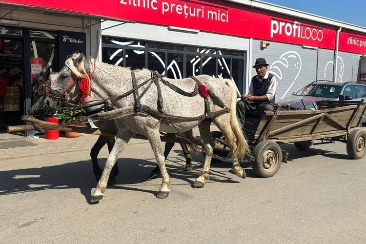 România, după Bulgaria, într-un clasament privind calitatea vieţii  Foto: Facebook