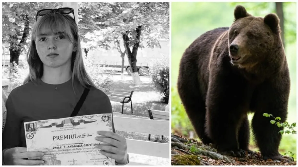 De ce urșii sunt mai agresivi (sursa: ziaruldeiasi.ro)