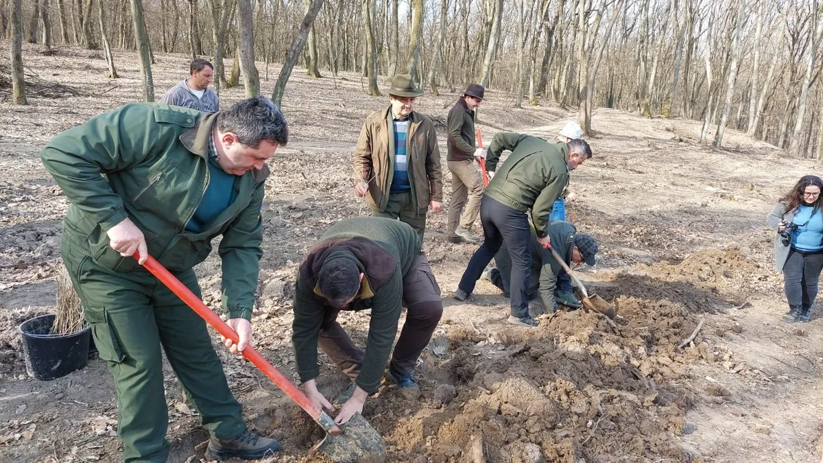 Direcţia Silvică Bihor, două recorduri în 2022 Foto: Facebook 