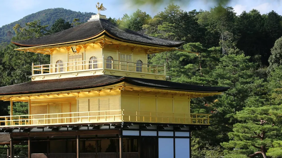 Japonia trimite armata să prindă urșii (sursa: Pexels/Crisis Band)