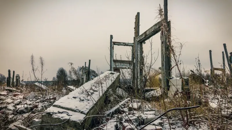 "Iarna nucleară" ar ucide cinci miliarde de oameni (sursa: Shutterstock)