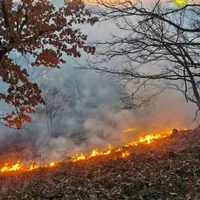 Jaf la Romsilva: „lipsesc” 33 de milioane de lei din fonduri speciale