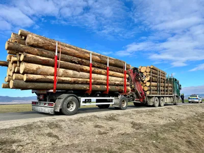 Transporturile de lemn, probleme cu legea (sursa: Facebook/Bodnar Daniel)