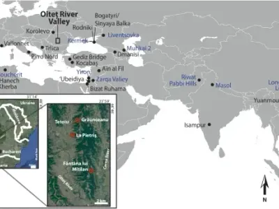 Homo Olteniensis, noua vedetă a antropologiei (sursa: nature.com)