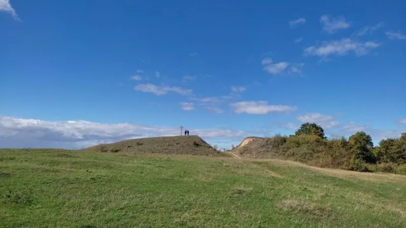 Cătălina din epoca fierului, abandonată rural (sursa: ziaruldeiasi.ro)