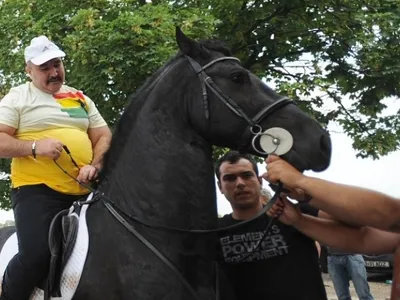 Poliția s-a dus acasă la Nuțu Cămătaru ca să găsească un cal Foto: captură video