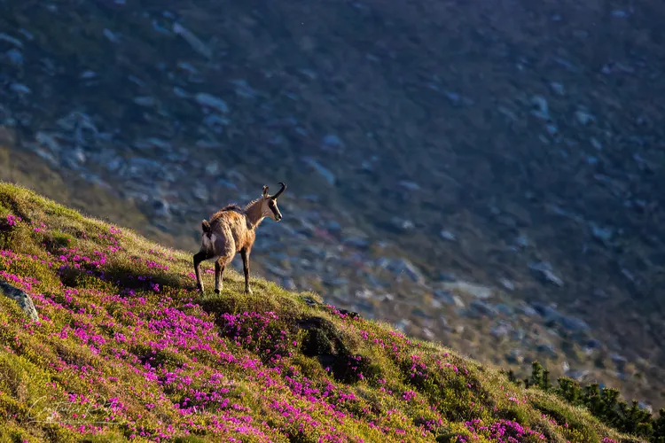 Dezastru în turism, în august, lună de vârf Foto: Facebook Romania Travel/Constantin Rotar